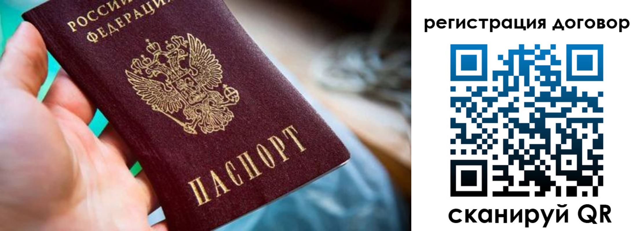 прописка гарантия в Фокино